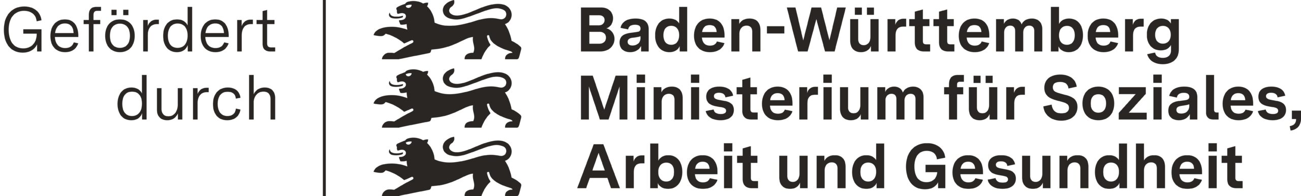 Gefördert durch das Ministerium für Soziales, Arbeit und Gesundheit Baden-Württemberg